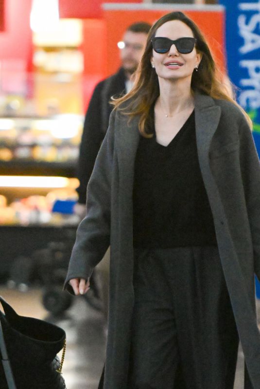 ANGELINA JOLIE Arrives at JFK Airport in New York 02/19/2023