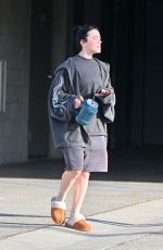 BILLIE EILISH Leaves a Gym in Encino 02/22/2023
