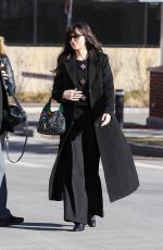 DAKOTA JOHNSON Arrives at Harvard Business School in Boston 02/11/2023