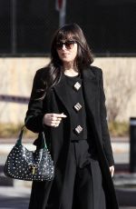 DAKOTA JOHNSON Arrives at Harvard Business School in Boston 02/11/2023