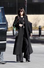 DAKOTA JOHNSON Arrives at Harvard Business School in Boston 02/11/2023