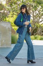 DAKOTA JOHNSON Leaves Beach Hotel Shutters on the Beach in Santa Monica 01/28/2023
