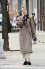 DAPHNE GROENEVELD Out with Her Dog in New York 02/12/2023