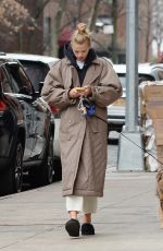 DAPHNE GROENEVELD Out with Her Dog in New York 02/12/2023
