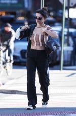 EMILY RATAJKOWSKI and Eric Andre Out and About in New York 02/10/2023