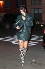 EMILY RATAJKOWSKI Arrives at Her Home After Valentine