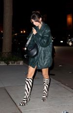 EMILY RATAJKOWSKI Arrives at Her Home After Valentine