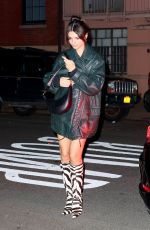 EMILY RATAJKOWSKI Arrives at Her Home After Valentine