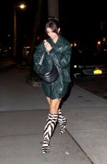 EMILY RATAJKOWSKI Arrives Home After Valentine