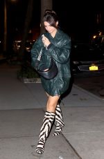 EMILY RATAJKOWSKI Arrives Home After Valentine