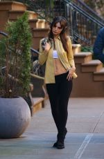 EMILY RATAJKOWSKI Out and About in New York 02/13/2023