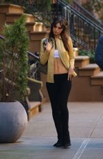 EMILY RATAJKOWSKI Out and About in New York 02/13/2023