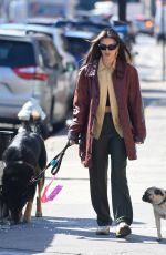 EMILY RATAJKOWSKI Out for Iced Coffee with Her Dog in New York 02/27/2023