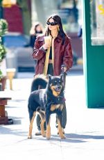 EMILY RATAJKOWSKI Out for Iced Coffee with Her Dog in New York 02/27/2023