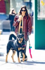 EMILY RATAJKOWSKI Out for Iced Coffee with Her Dog in New York 02/27/2023
