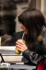 EMILY RATAJKOWSKI Out with her Baby and Friends in New York 02/12/2023