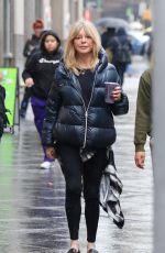 GOLDIE HAWN Out and About in New York 02/17/2023