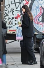 KARLIE KLOSS Goes Makeup Free Carrying Her Luggage in New York 02/06/2023