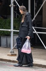 KARLIE KLOSS Goes Makeup Free Carrying Her Luggage in New York 02/06/2023