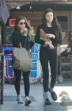 KATE MARA Out for Ggrocery Shopping in Los Feliz 02/06/2023