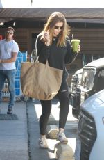 KATE MARA Out for Ggrocery Shopping in Los Feliz 02/06/2023