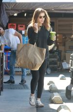 KATE MARA Out for Ggrocery Shopping in Los Feliz 02/06/2023