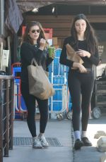 KATE MARA Out for Ggrocery Shopping in Los Feliz 02/06/2023