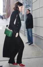 KATHERINE SCHWARZENEGGER Out in New York 02/08/2023