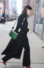 KATHERINE SCHWARZENEGGER Out in New York 02/08/2023