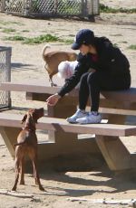 LUCY HALE Out with Her Dogs at a Park in Hollywood Hills 02/13/2023