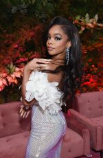 MARSAI MARTIN at Naacp Awards Program and Dinner in Los Angeles 02/24/2023