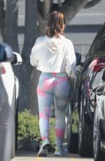 MINKA KELLY Doing Ball Slams while Working Out in Beverly Hills 02/09/2023