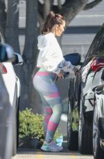 MINKA KELLY Doing Ball Slams while Working Out in Beverly Hills 02/09/2023