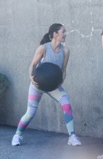MINKA KELLY Doing Ball Slams while Working Out in Beverly Hills 02/09/2023