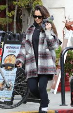 MINKA KELLY Out Shopping in Los Angeles 02/27/2023