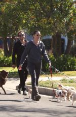RENA SOFER Out with Her Dogs in Los Angeles 02/07/2023