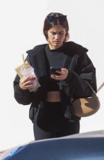 SARA SAMPAIO Leaves Urth Caffe in West Hollywood 02/15/2023