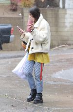 SCOUT WILLIS Out Shopping in Los Angeles 02/25/2023