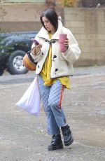 SCOUT WILLIS Out Shopping in Los Angeles 02/25/2023