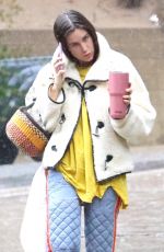 SCOUT WILLIS Out Shopping in Los Angeles 02/25/2023
