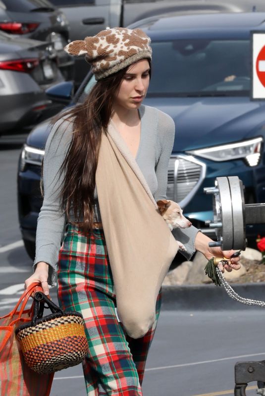 SCOUT WILLIS Out Shopping with Her Dog at Michaels in Studio City 02/17/2023