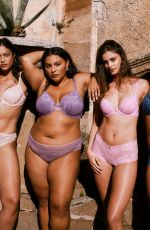 TAYLOR HILLI for Victoria