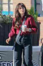 ZOOEY DESCHANEL Out for Coffee at Alfred Coffee in Santa Monica 02/08/2023