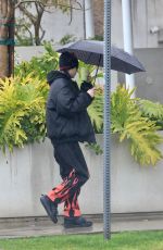 AMELIA HAMLIN Out in Los Angeles 03/22/2023
