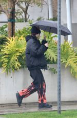 AMELIA HAMLIN Out in Los Angeles 03/22/2023