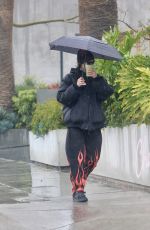 AMELIA HAMLIN Out in Los Angeles 03/22/2023