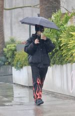 AMELIA HAMLIN Out in Los Angeles 03/22/2023