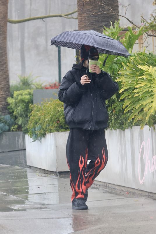 AMELIA HAMLIN Out in Los Angeles 03/22/2023