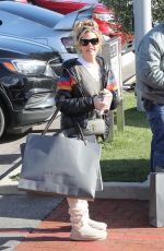 DENISE RICHARDS and Aaron Phypers Out Shopping in Malibu 03/29/2023