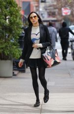 FAMKE JANSSEN Out in New York 03/17/2023